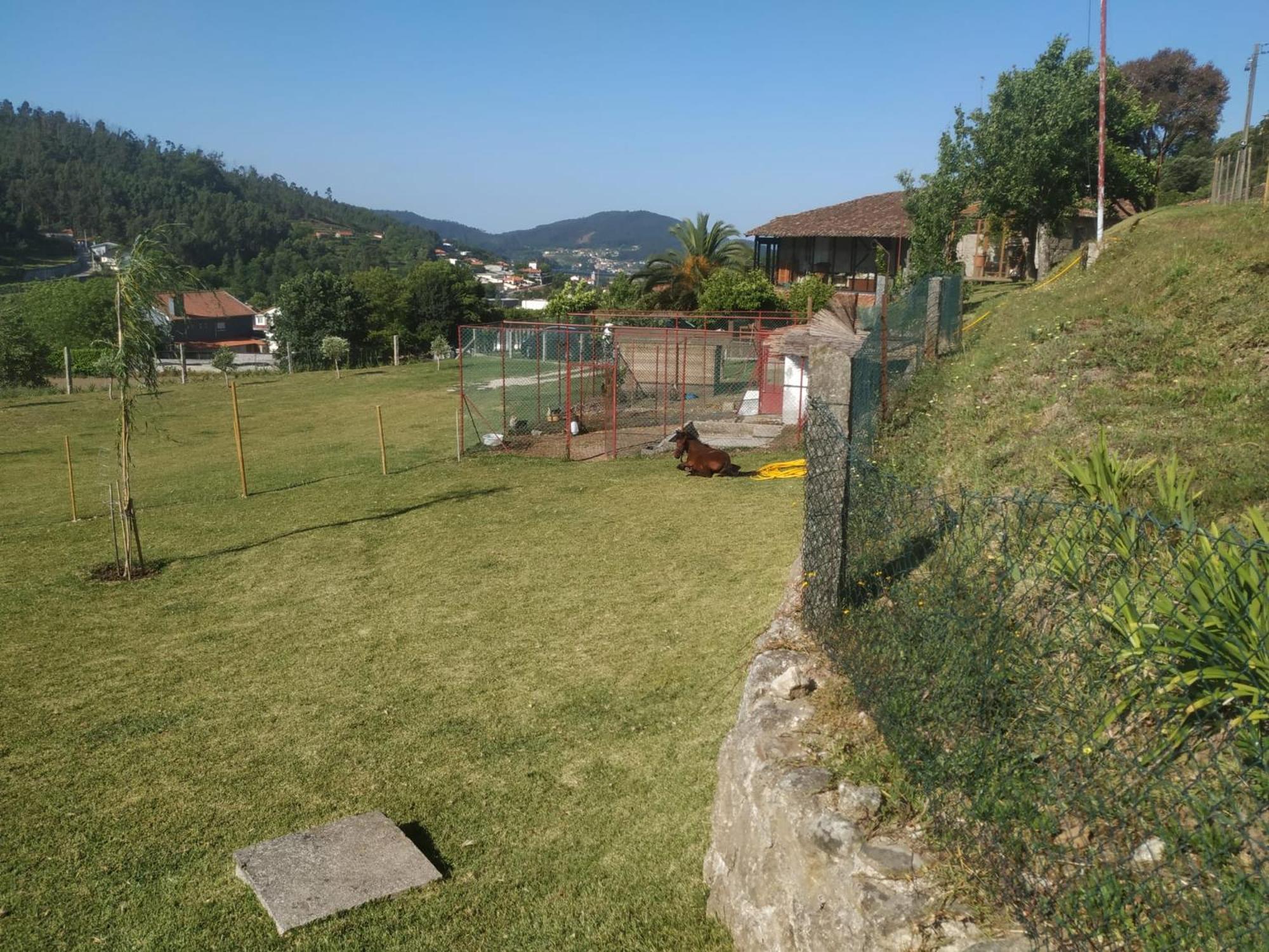 Quinta Dos Campos - Apartamento 2 Μπράγκα Εξωτερικό φωτογραφία